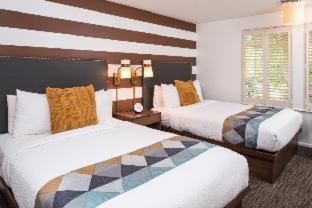 Wine Valley 3*